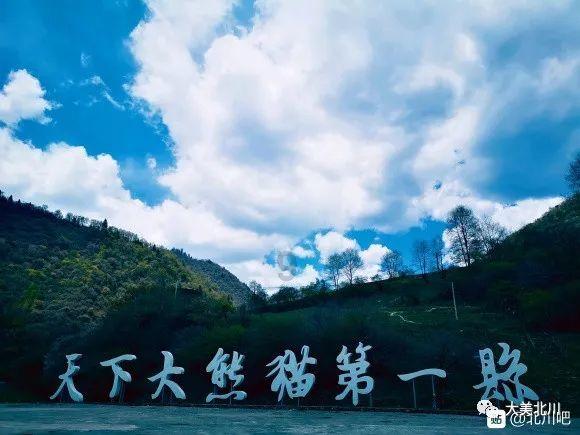 凤凰不好惹